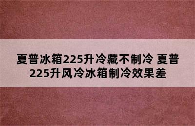 夏普冰箱225升冷藏不制冷 夏普225升风冷冰箱制冷效果差